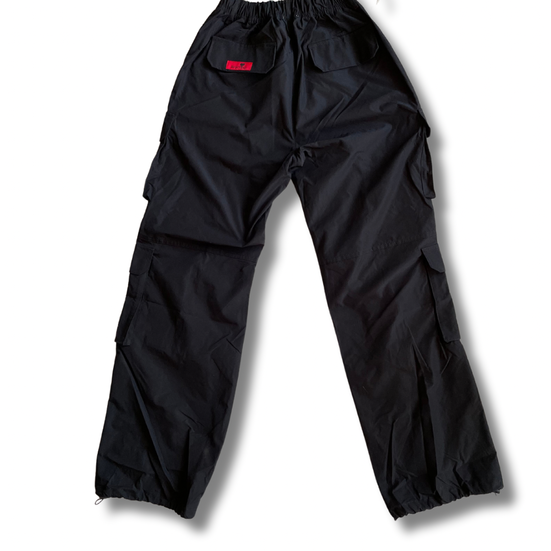 24 FORTUNE KARGO PANTS