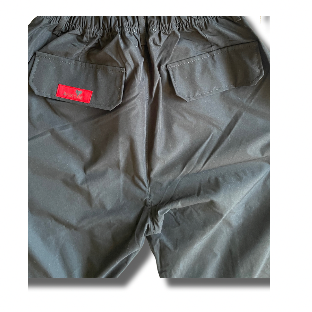 24 FORTUNE KARGO PANTS